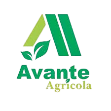 Avante